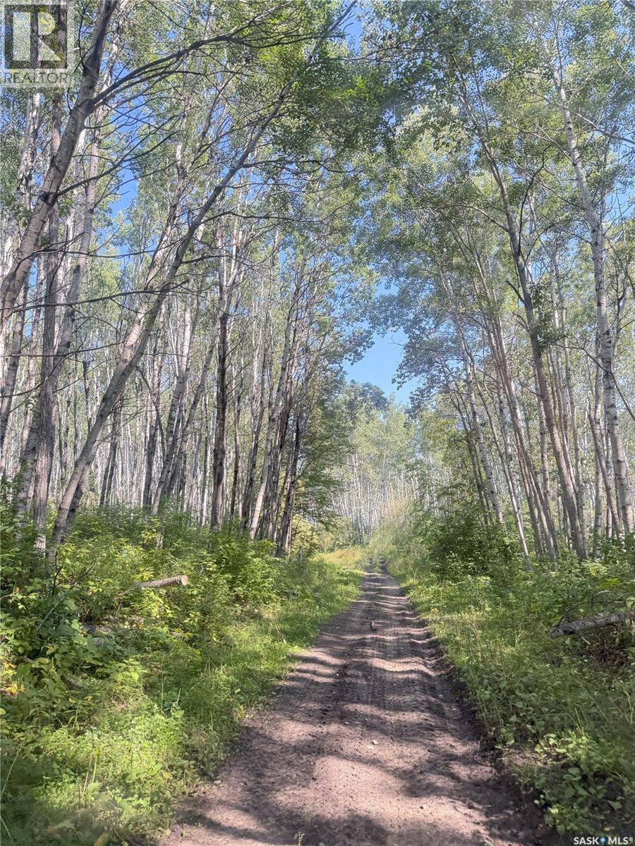 Bellows Recreation Property, Clayton Rm No. 333, SK