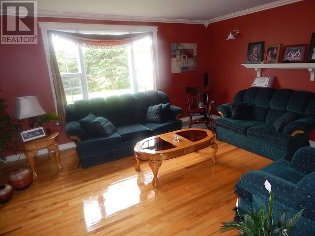 25 Duceys Lane, Marystown, NL - Indoor Photo Showing Living Room