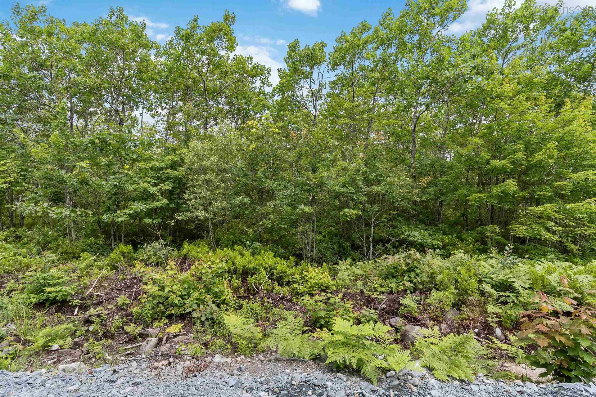 Lot 7 Maple Ridge Drive, White Point, NS