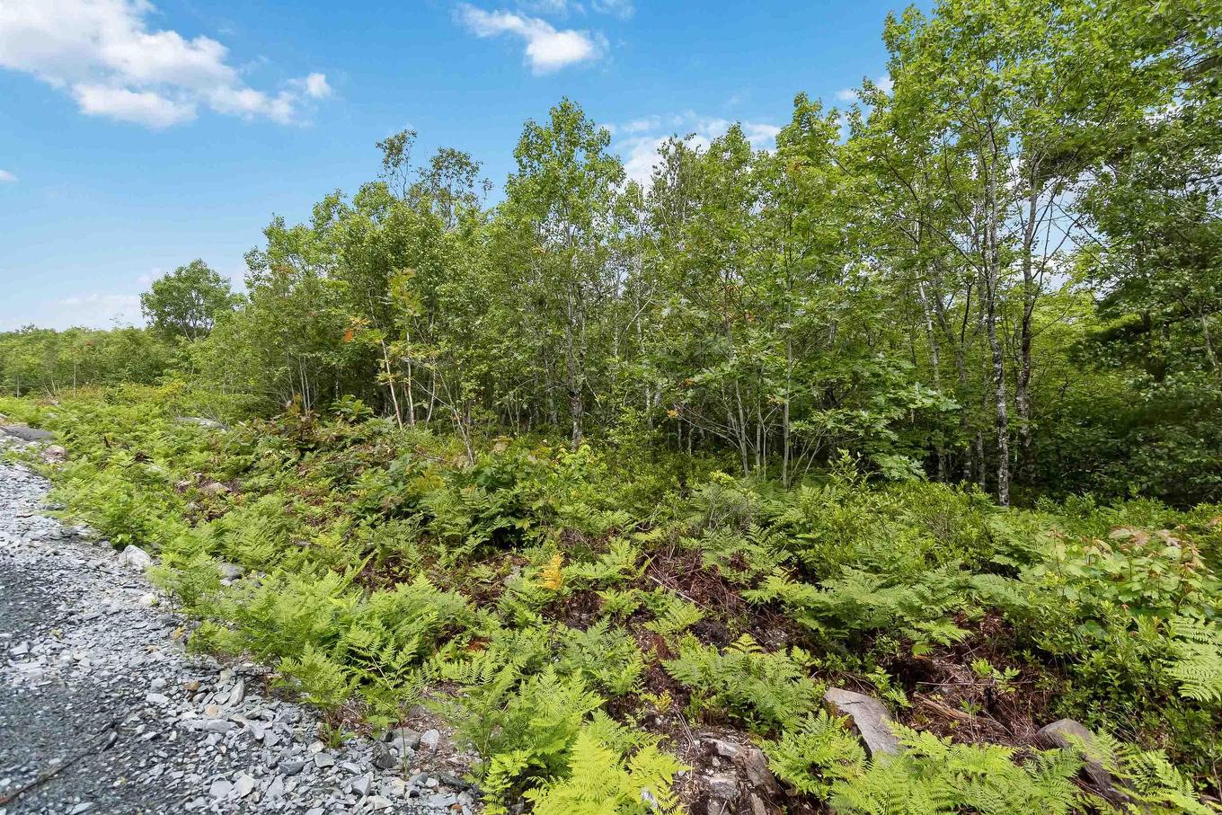 Lot 7 Maple Ridge Drive, White Point, NS