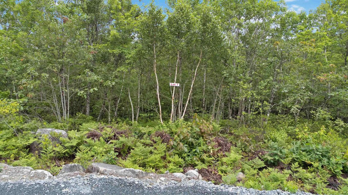 Lot 7 Maple Ridge Drive, White Point, NS