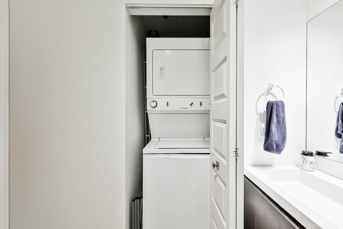 Salle de bains - 202-7345 Boul. St-Laurent, Montréal (Villeray/Saint-Michel/Parc-Extension), QC - Indoor Photo Showing Laundry Room