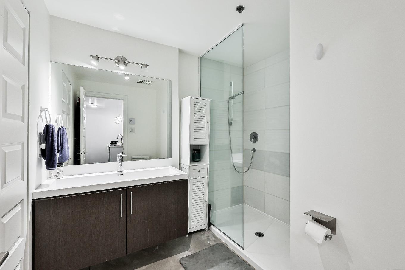 Salle de bains - 202-7345 Boul. St-Laurent, Montréal (Villeray/Saint-Michel/Parc-Extension), QC - Indoor Photo Showing Bathroom