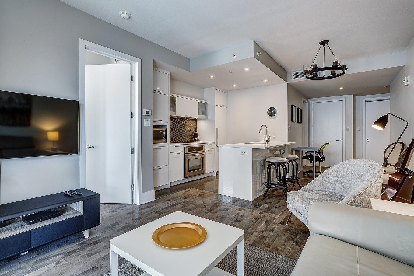 Overall view - 713-365 Rue St-André, Montréal (Ville-Marie), QC - Indoor