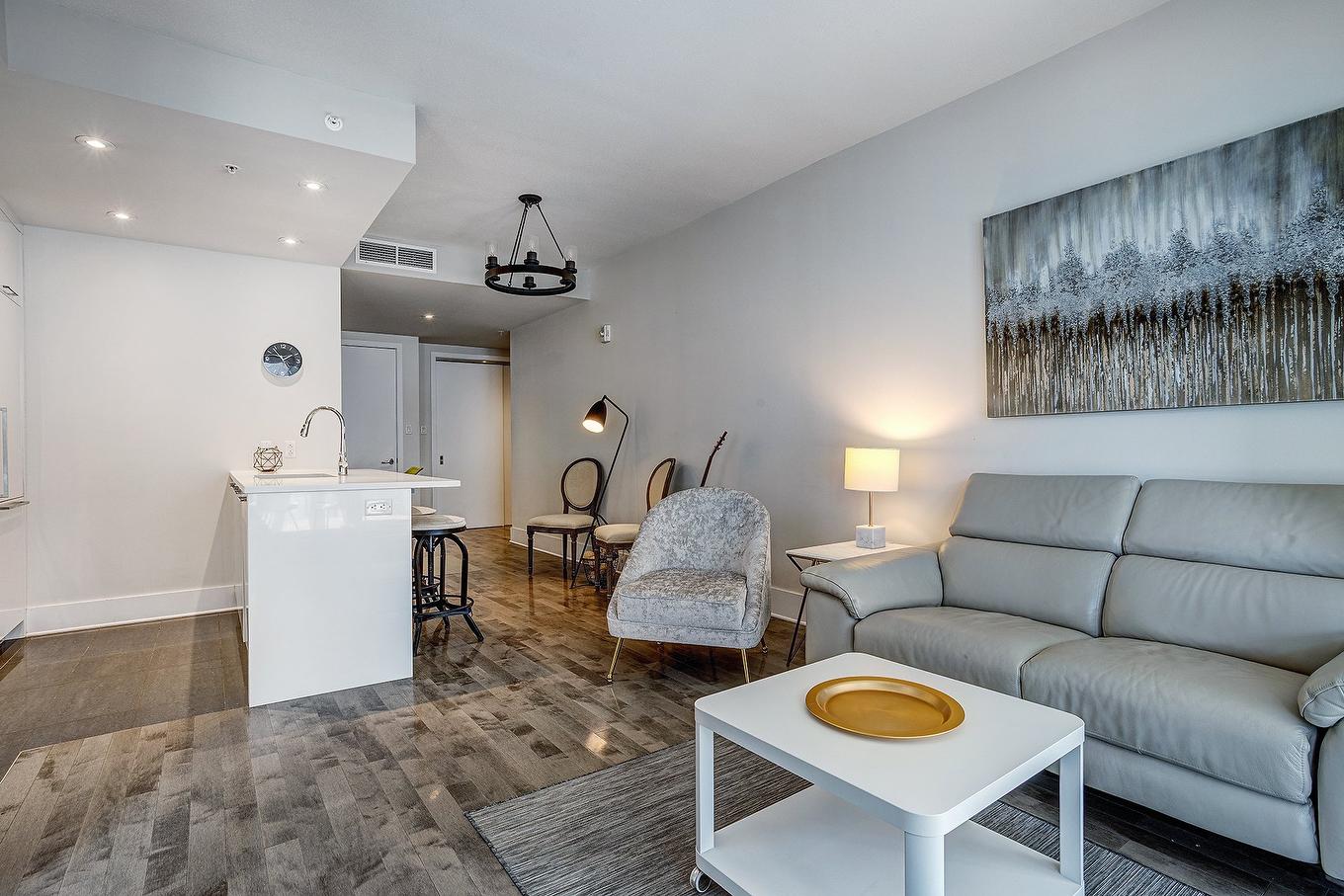 Overall view - 713-365 Rue St-André, Montréal (Ville-Marie), QC - Indoor Photo Showing Living Room