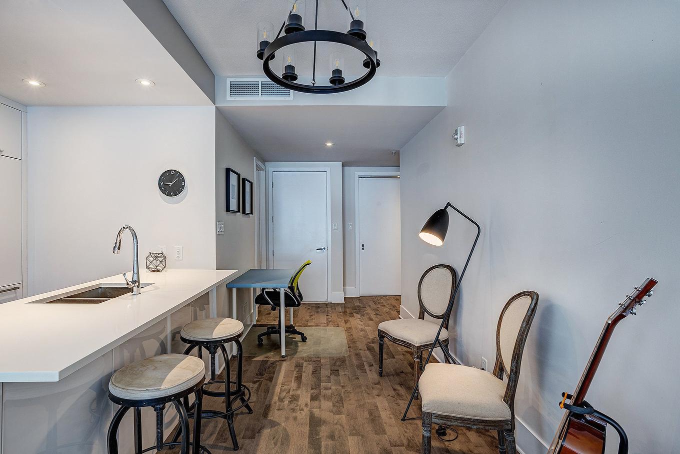 Overall view - 713-365 Rue St-André, Montréal (Ville-Marie), QC - Indoor