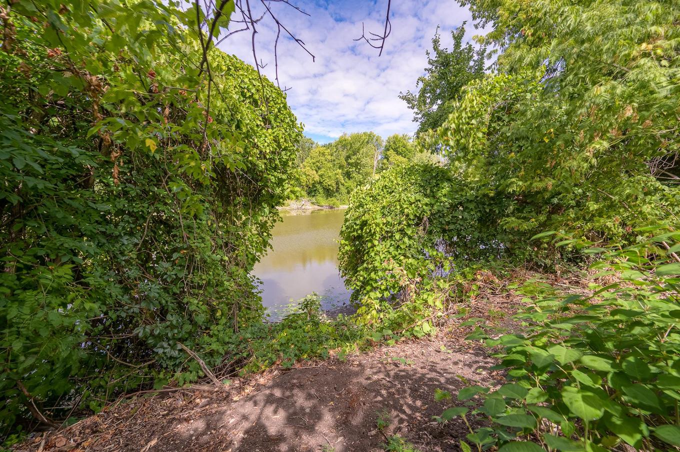 View - 44 Rue St-Antoine, Rigaud, QC - Outdoor