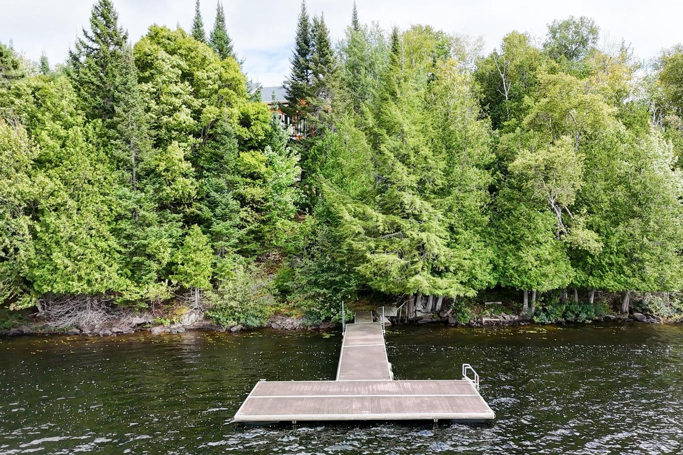 Overall view - 780 Ch. De La Presqu'Île, Rivière-Rouge, QC - Outdoor With Body Of Water