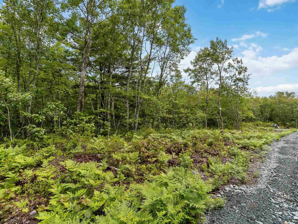 Lot 12 Maple Ridge Drive, White Point, NS