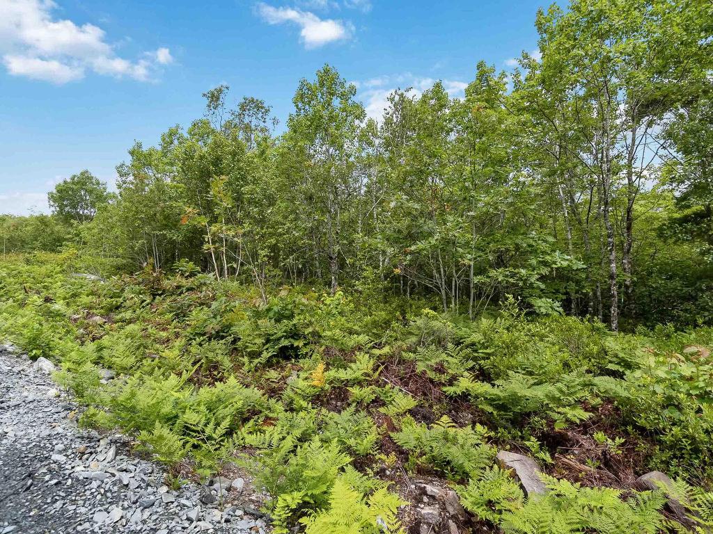 Lot 12 Maple Ridge Drive, White Point, NS