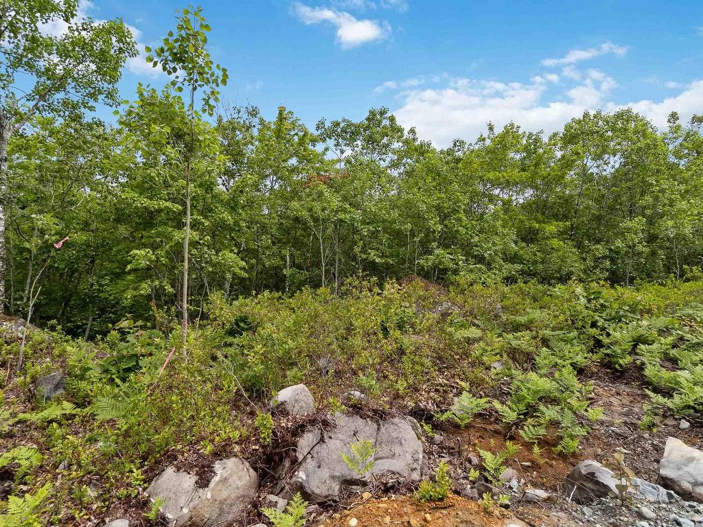 Lot 12 Maple Ridge Drive, White Point, NS