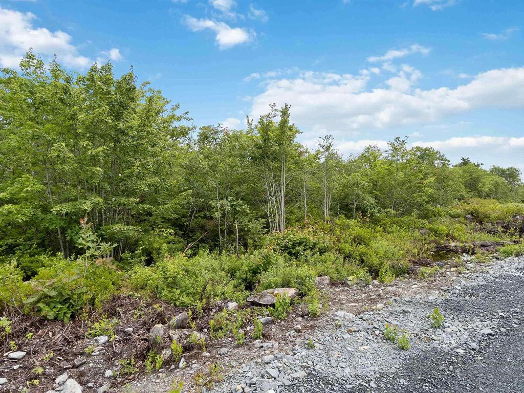 Lot 12 Maple Ridge Drive, White Point, NS