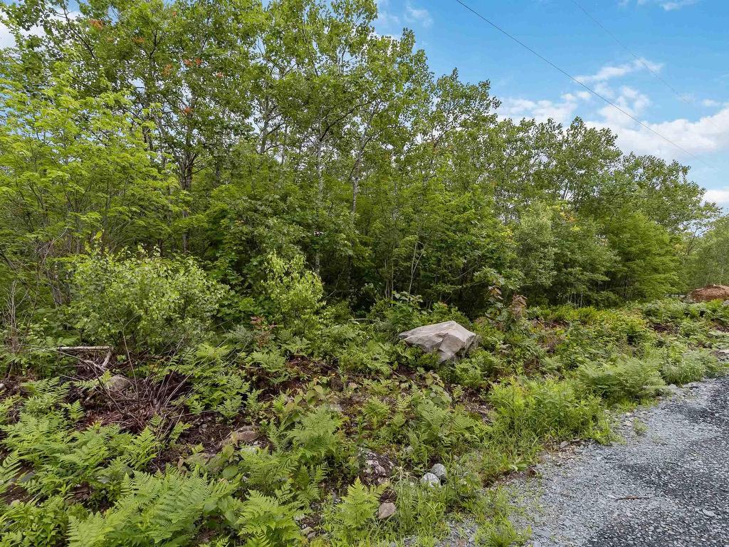 Lot 12 Maple Ridge Drive, White Point, NS