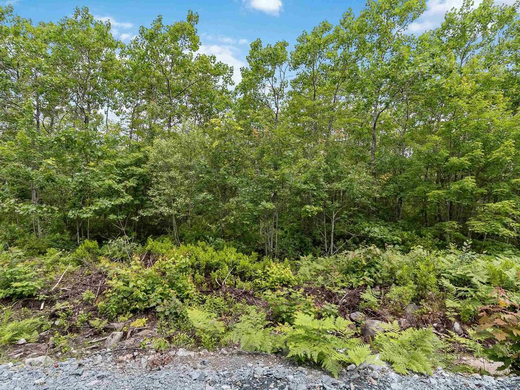 Lot 12 Maple Ridge Drive, White Point, NS
