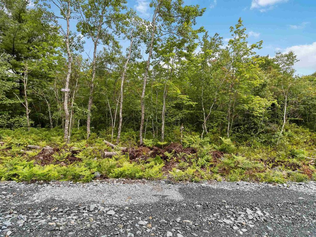 Lot 12 Maple Ridge Drive, White Point, NS