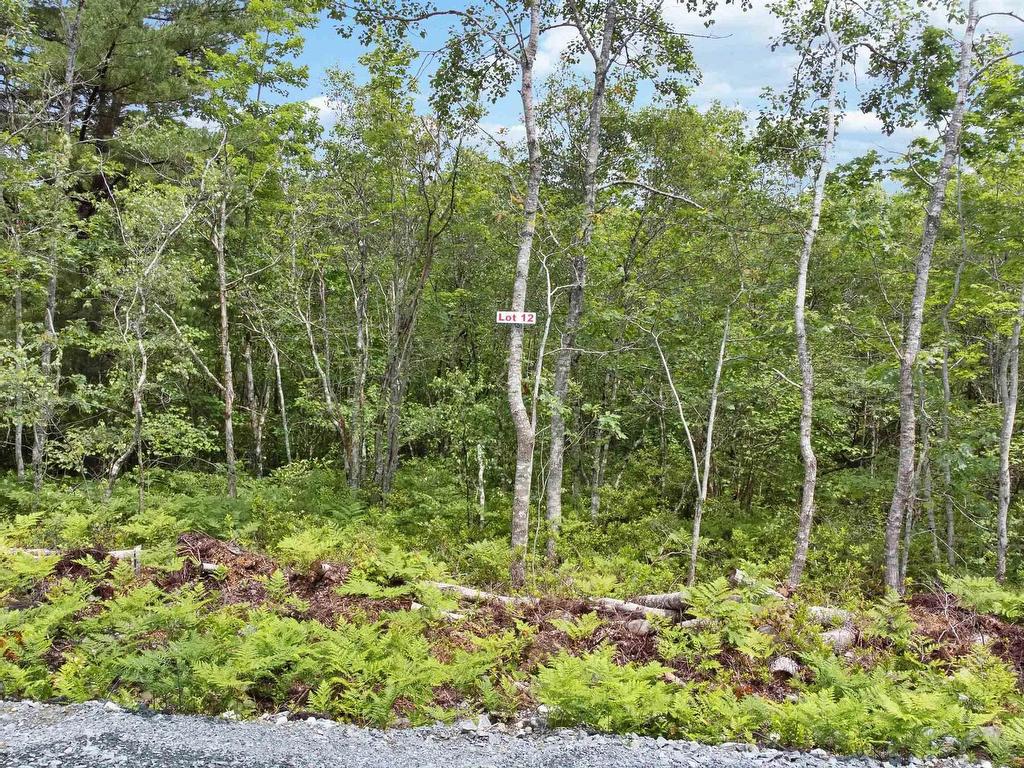 Lot 12 Maple Ridge Drive, White Point, NS