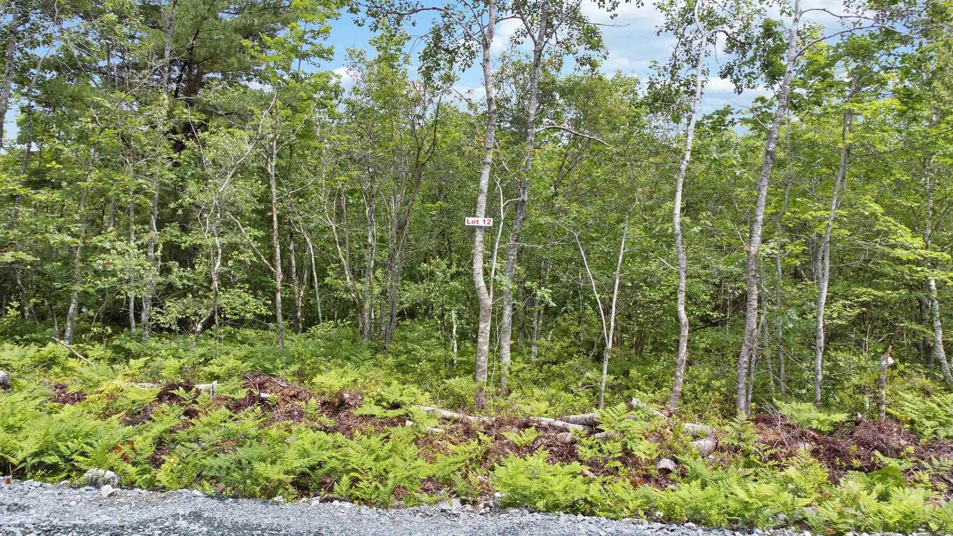 Lot 12 Maple Ridge Drive, White Point, NS