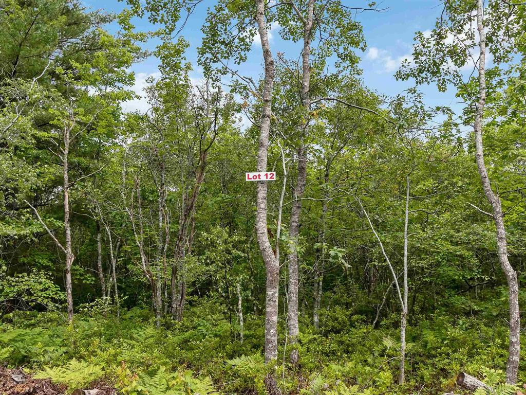 Lot 12 Maple Ridge Drive, White Point, NS