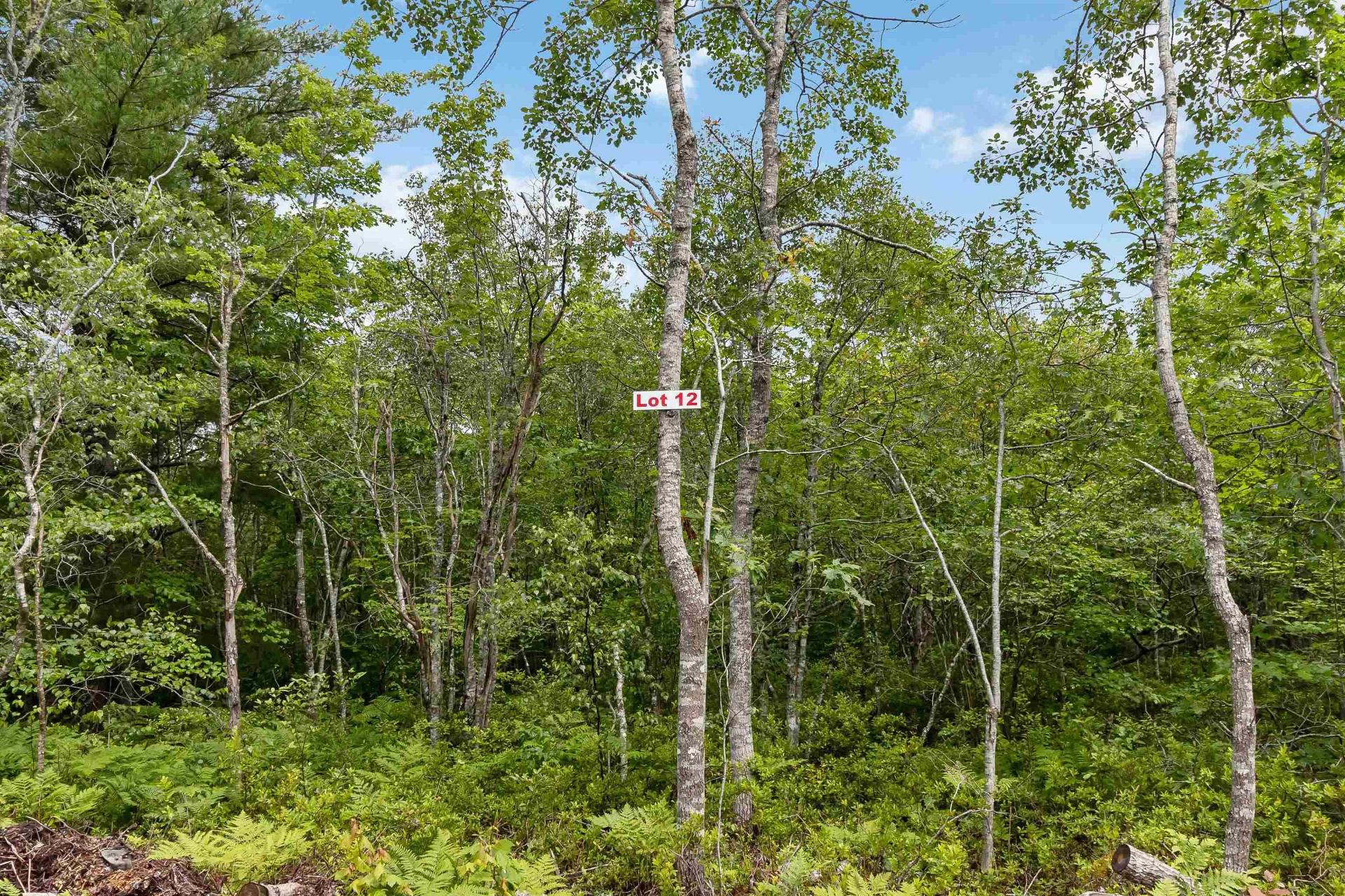 Lot 12 Maple Ridge Drive, White Point, NS