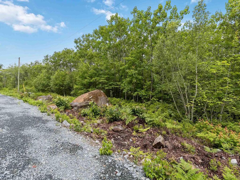 Lot 12 Maple Ridge Drive, White Point, NS