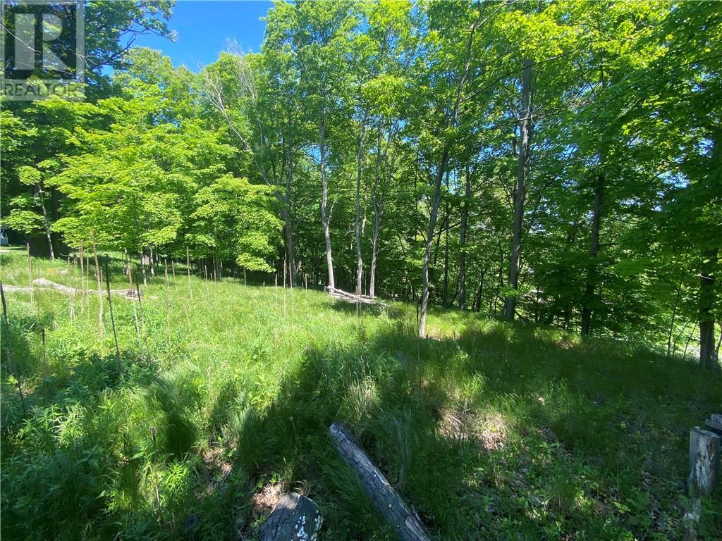 0 Doc Strain, Gore Bay, ON