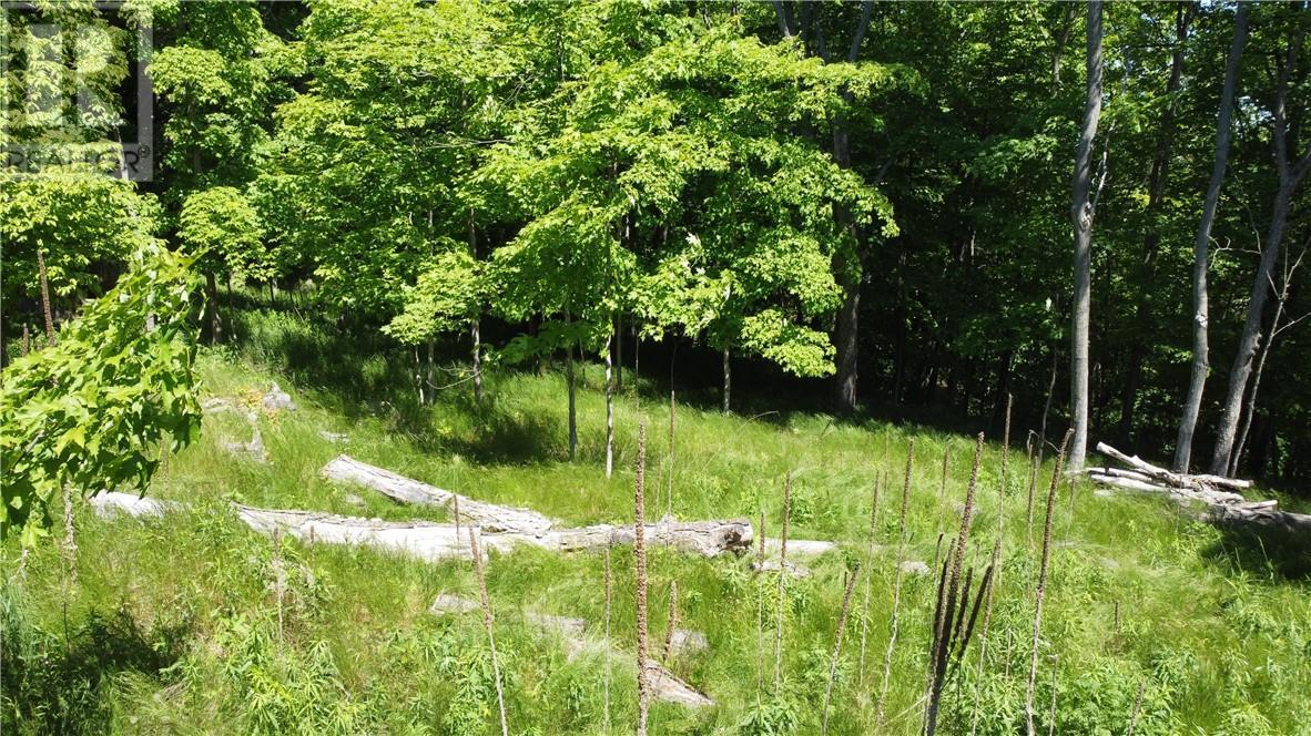 0 Doc Strain, Gore Bay, ON