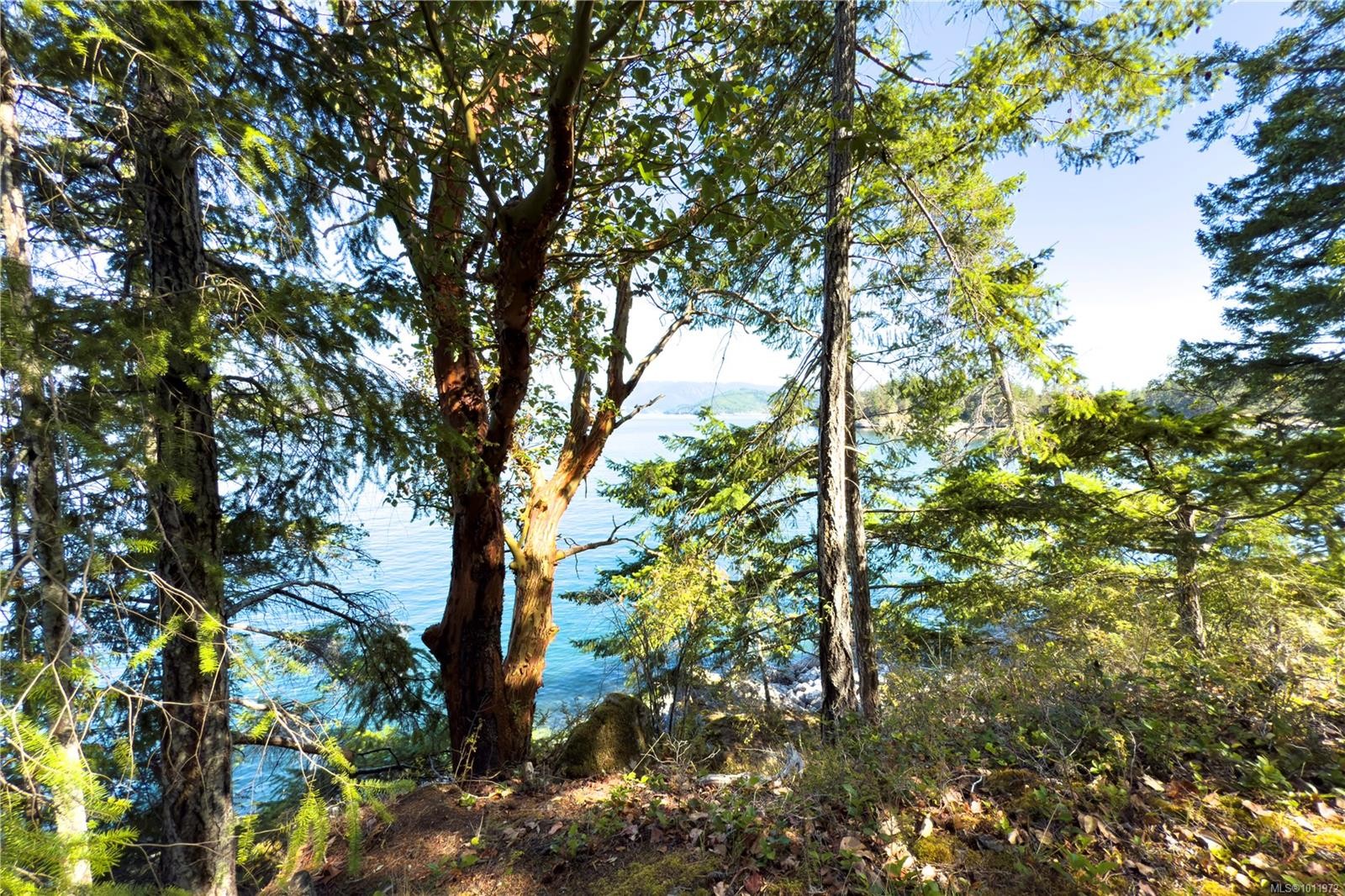 1799 Tiber Bay Rd, Cortes Island, BC