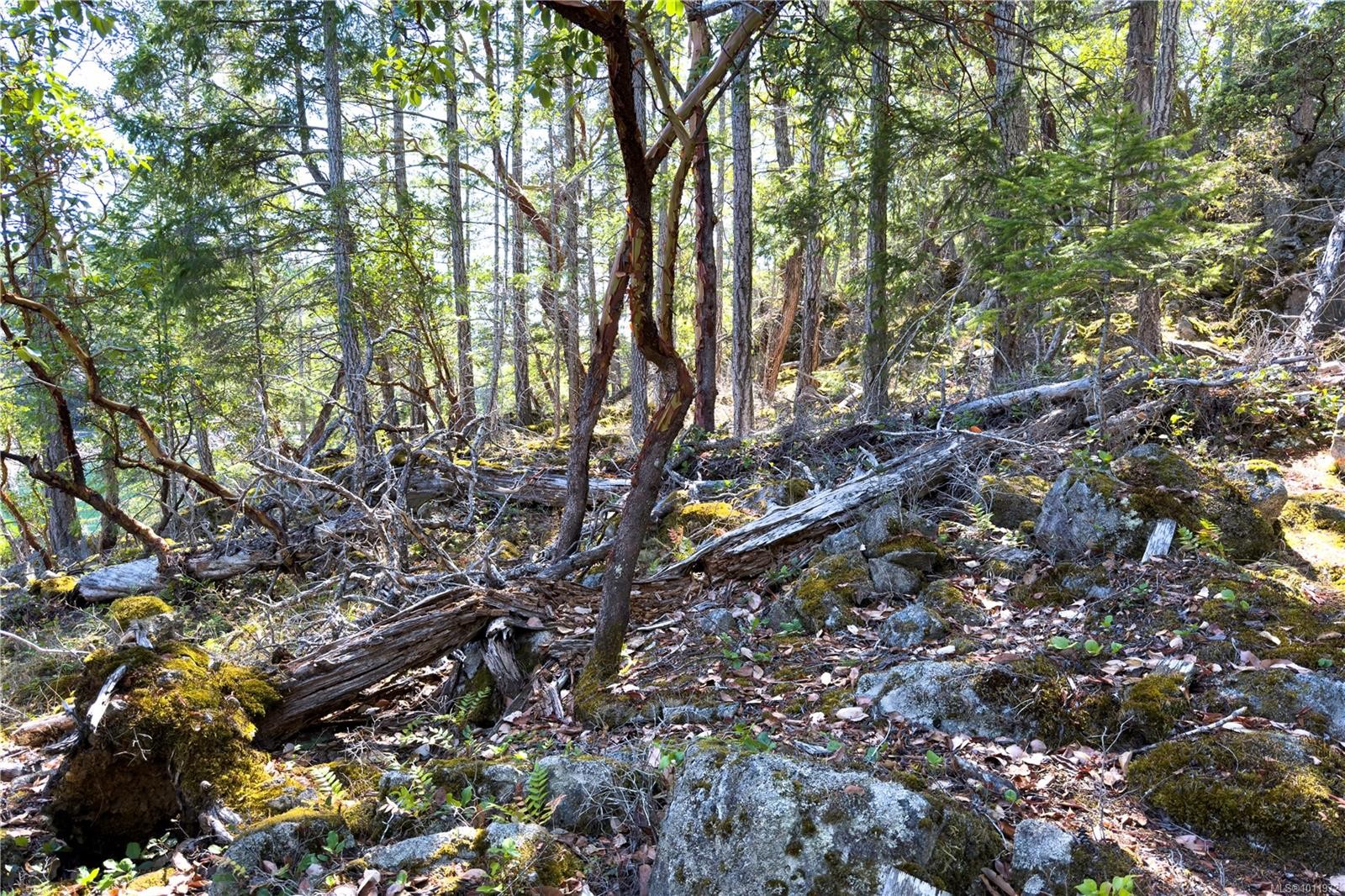 1799 Tiber Bay Rd, Cortes Island, BC