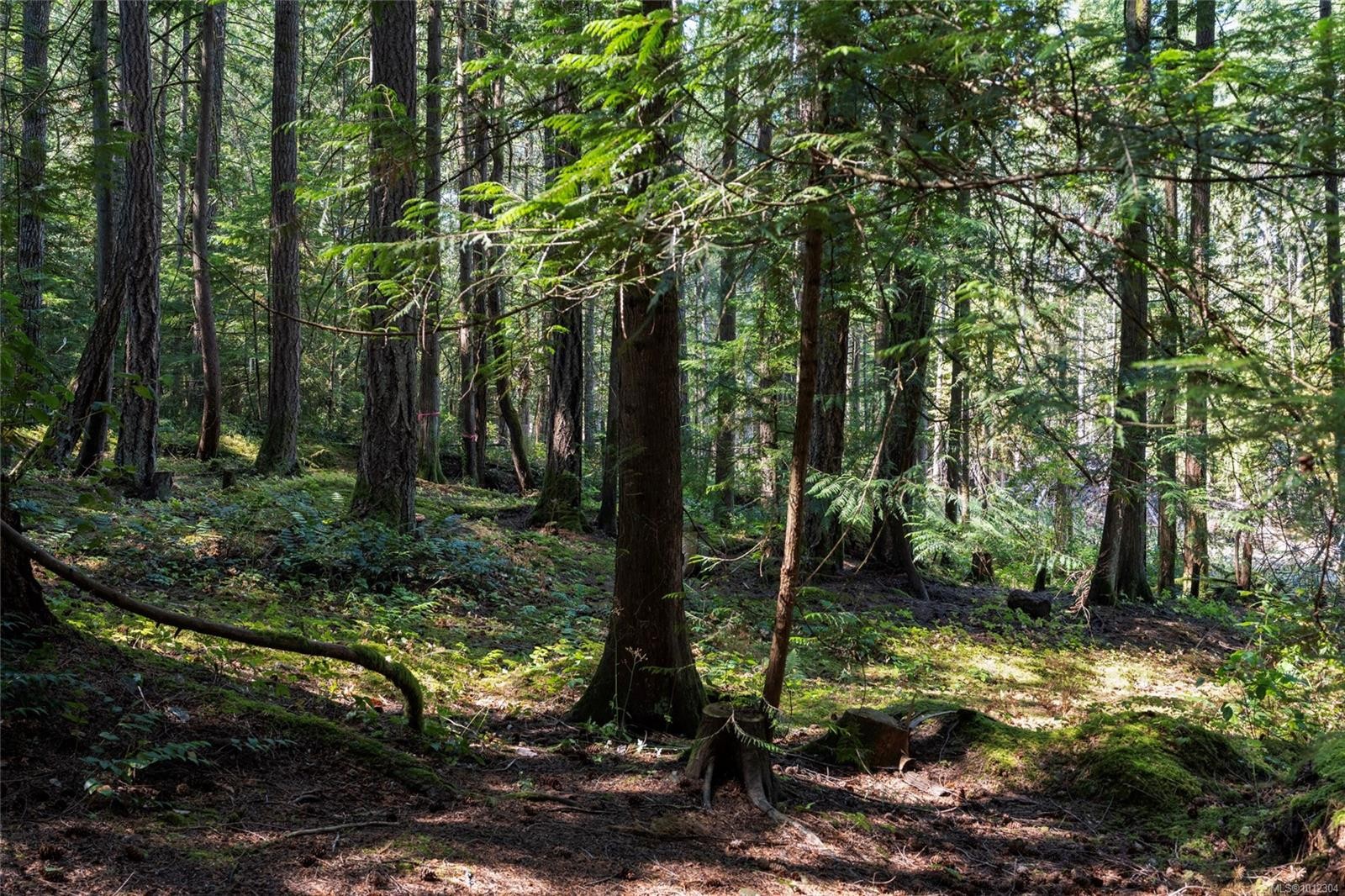 931 Cowerd Rd, Cobble Hill, BC