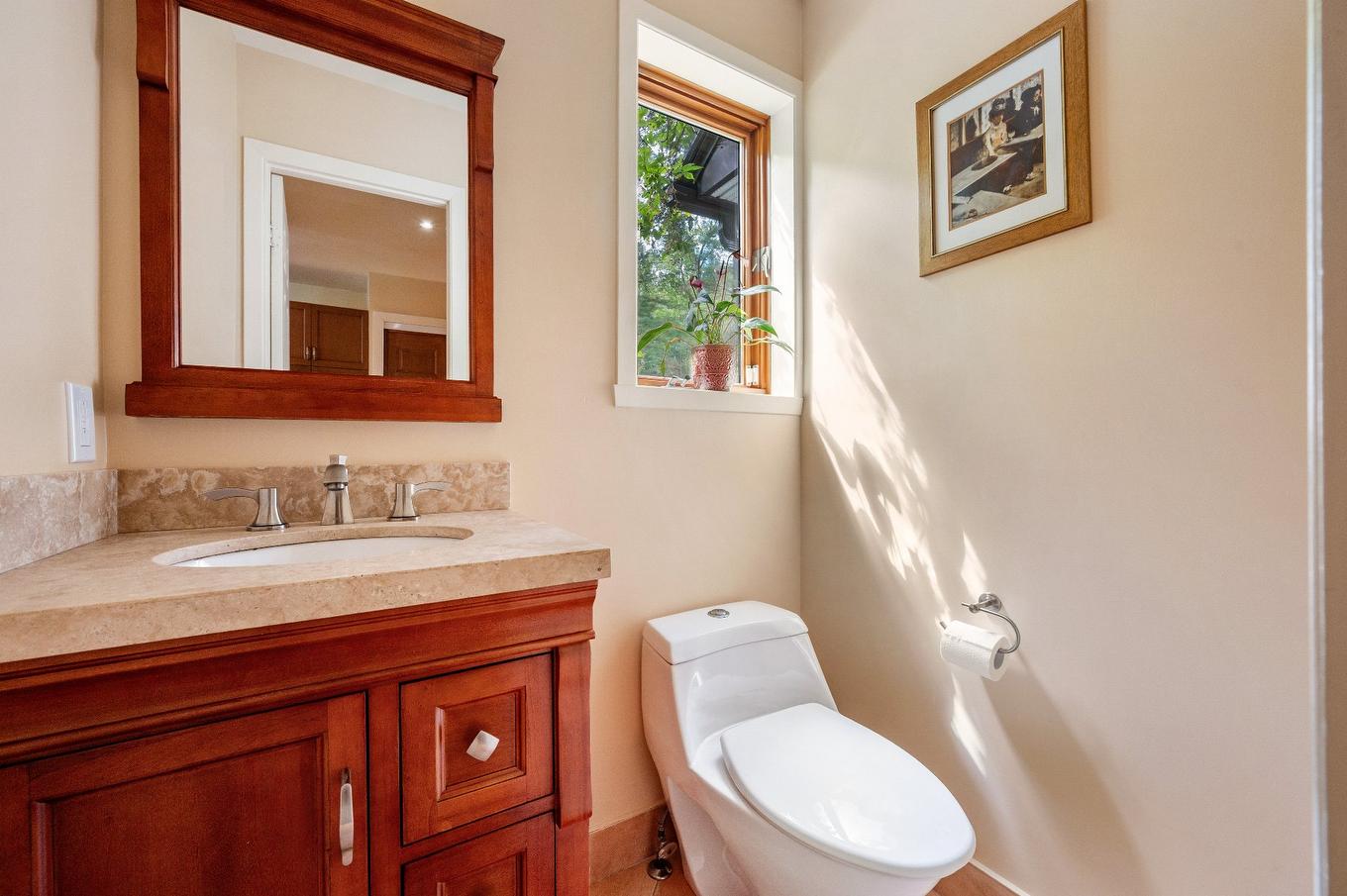 Salle d'eau - 1386 Rue Des Peupliers, Mont-Saint-Hilaire, QC - Indoor Photo Showing Bathroom