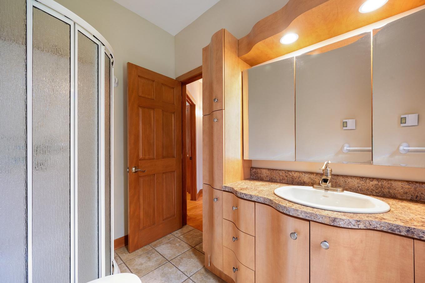 Salle de bains - 1386 Rue Des Peupliers, Mont-Saint-Hilaire, QC - Indoor Photo Showing Bathroom