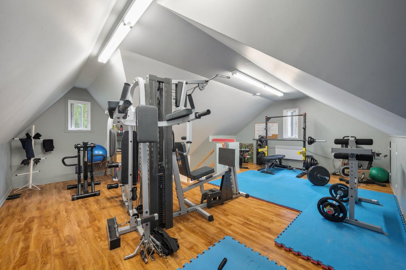 Garage - 1386 Rue Des Peupliers, Mont-Saint-Hilaire, QC - Indoor Photo Showing Gym Room
