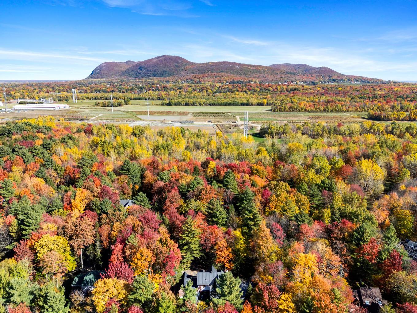 Vue d'ensemble - 1386 Rue Des Peupliers, Mont-Saint-Hilaire, QC - Outdoor With View