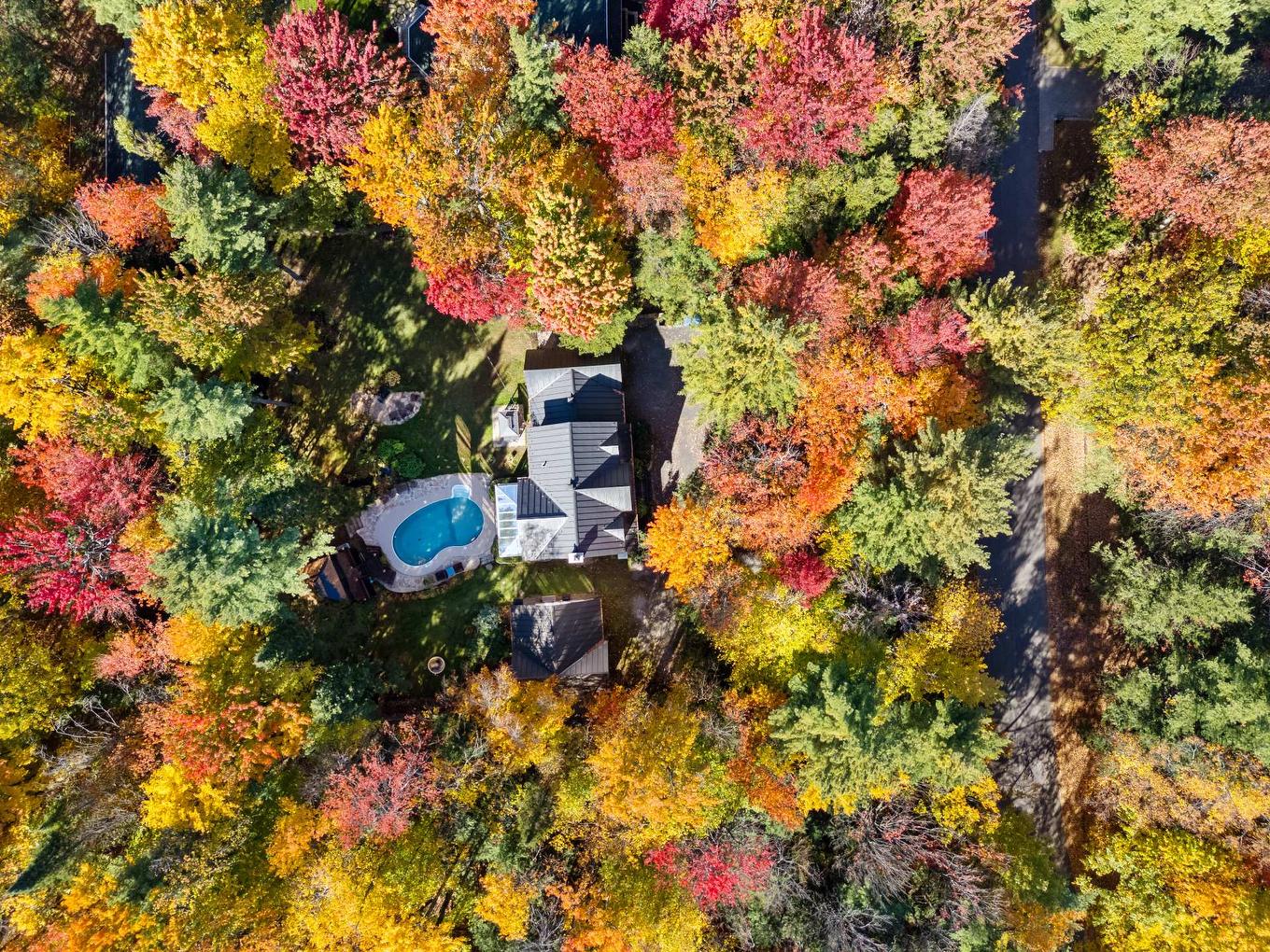 Vue d'ensemble - 1386 Rue Des Peupliers, Mont-Saint-Hilaire, QC - Outdoor With View