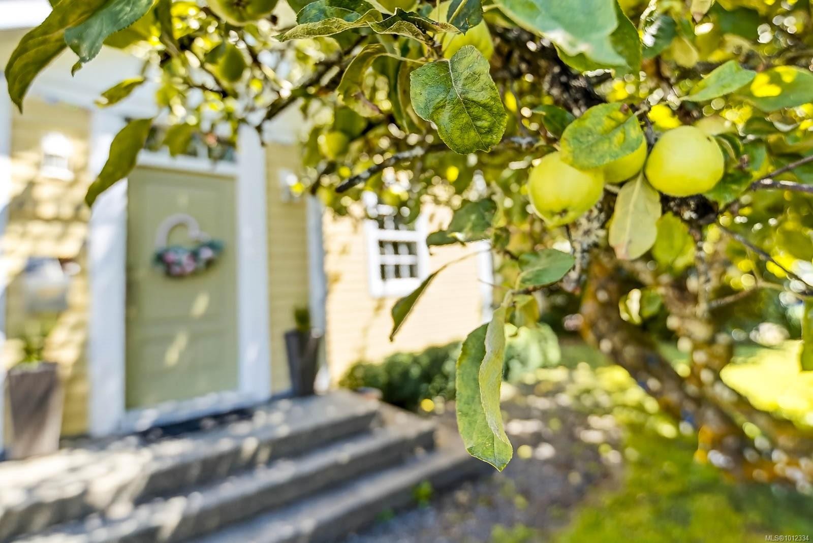 4455 Elizabeth St, Port Alberni, BC