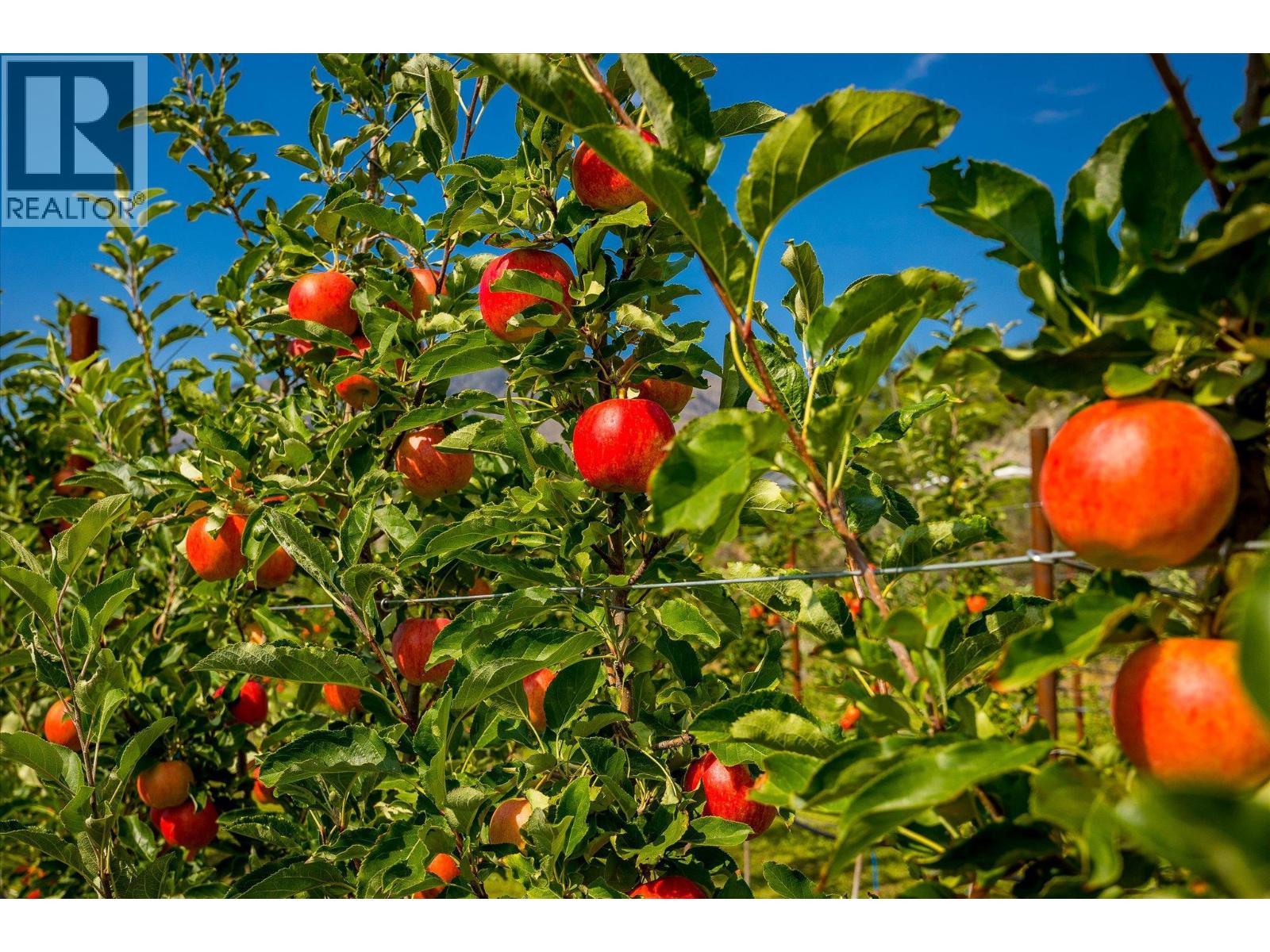 802 Coulthard Road, Cawston, BC - Outdoor