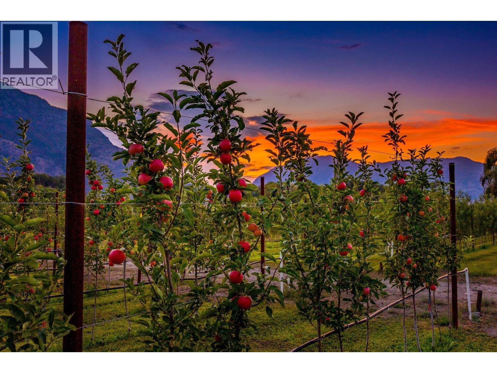 802 Coulthard Road, Cawston, BC - Outdoor With View