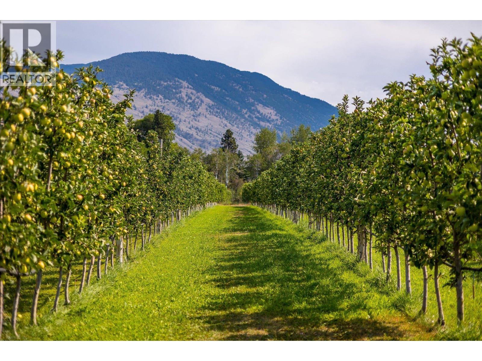 802 Coulthard Road, Cawston, BC - Outdoor With View