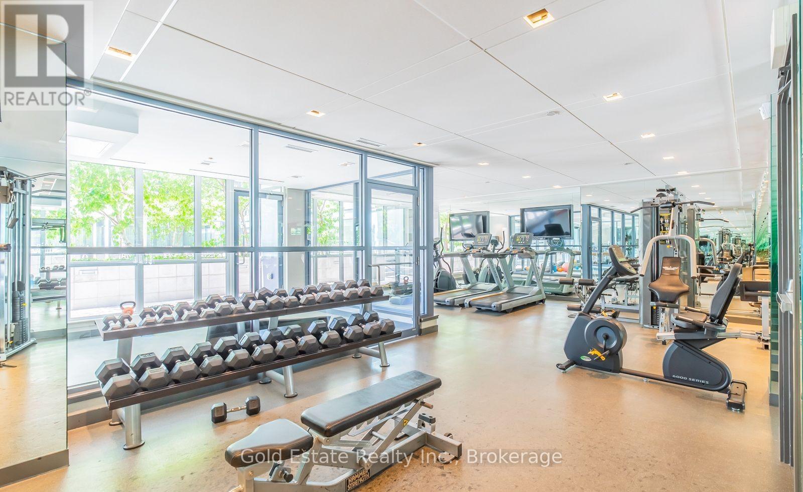 810 - 210 Simcoe Street, Toronto, ON - Indoor Photo Showing Gym Room