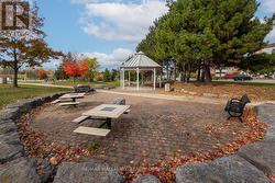 Peaceful park across the street -