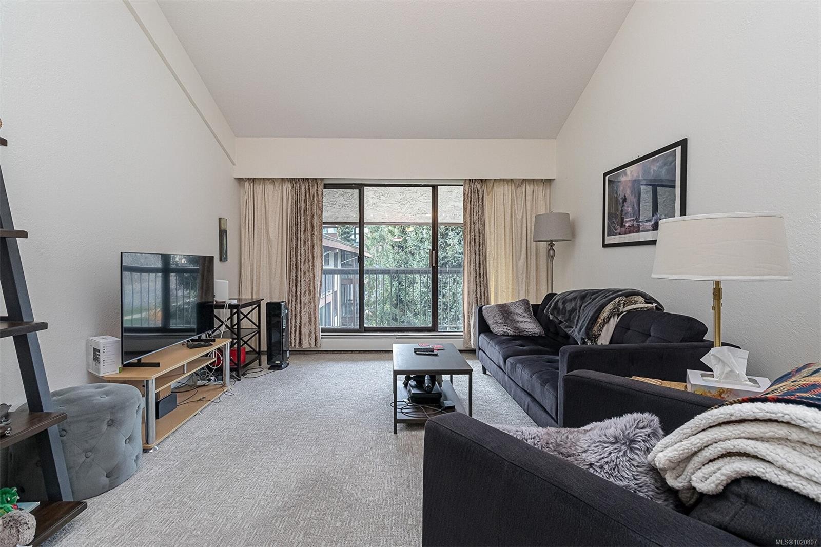 419-1005 Mckenzie Ave, Saanich, BC - Indoor Photo Showing Living Room