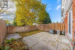 Fenced Backyard -