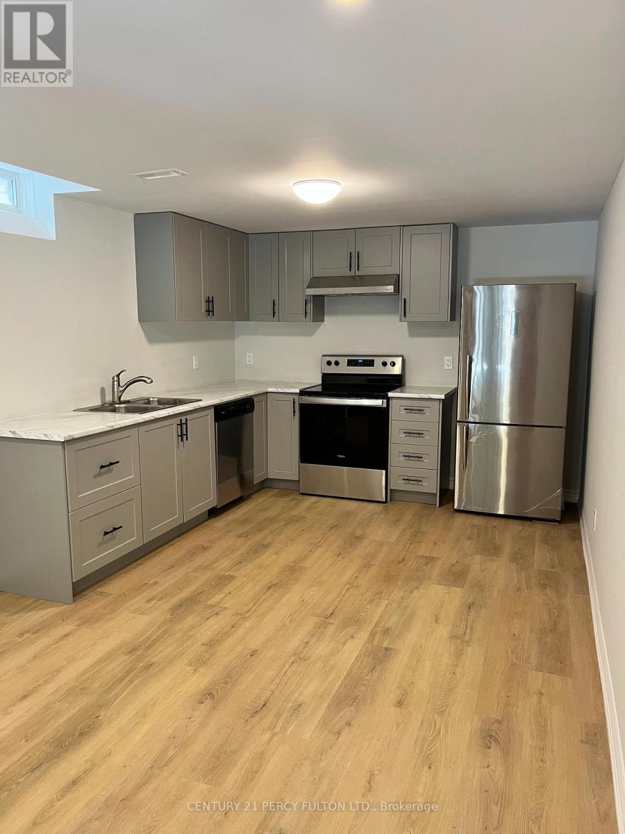 Bsmt - 445 Prestwick Drive, Oshawa, ON - Indoor Photo Showing Kitchen With Double Sink
