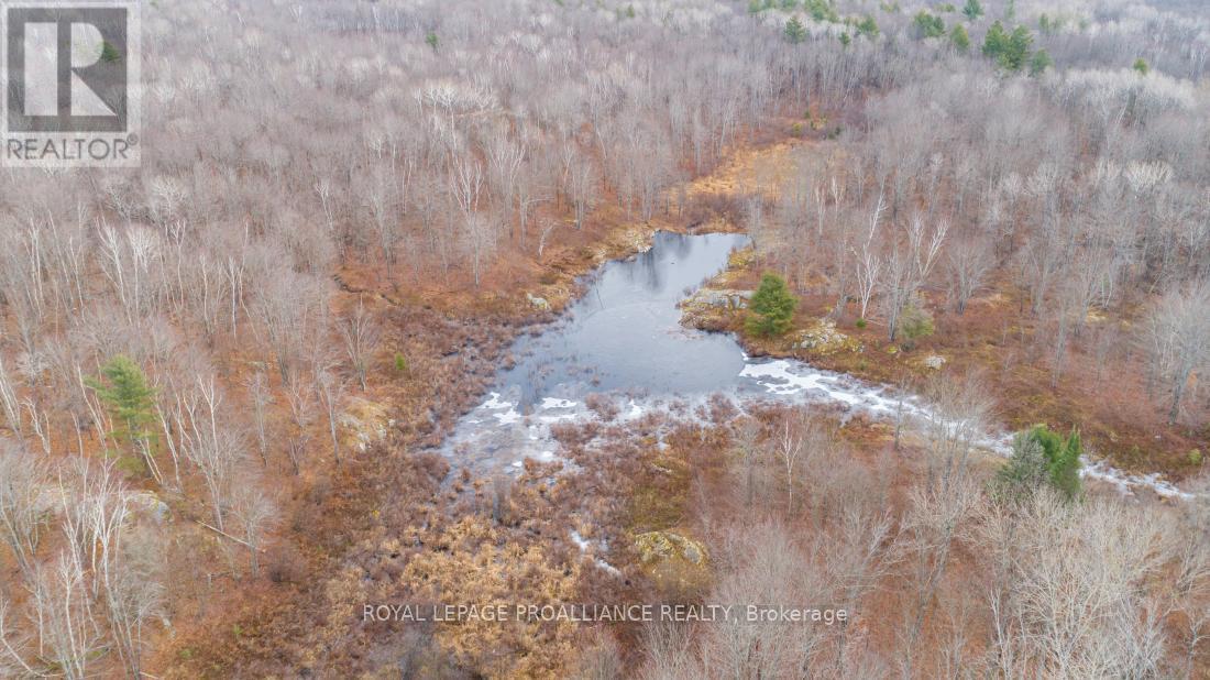 1446 Flinton Road, Tweed (Elzevir (Twp)), ON