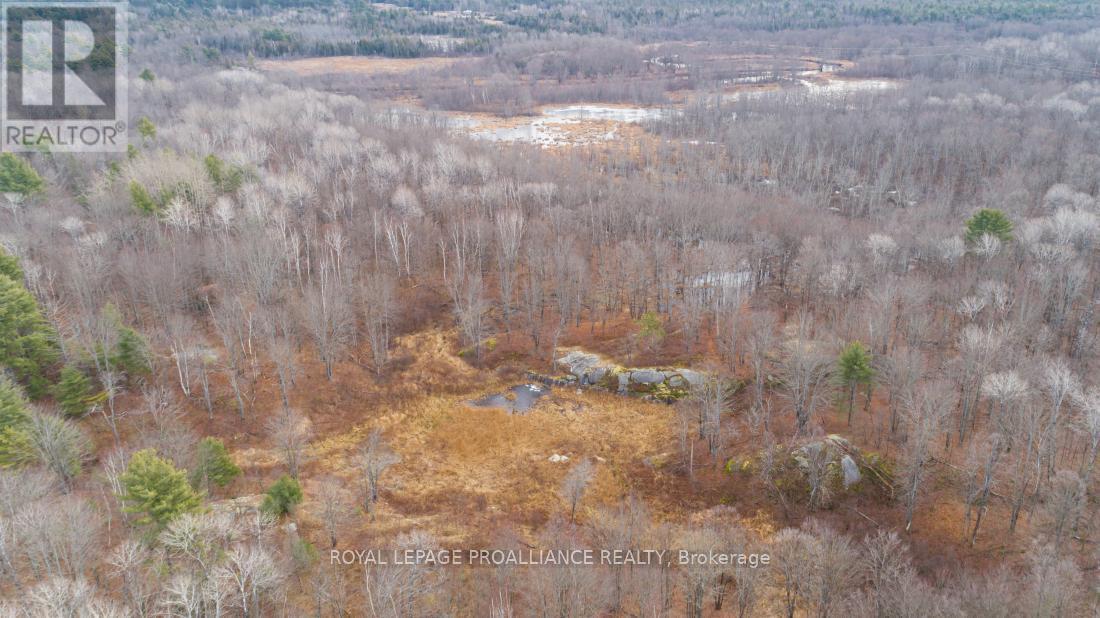 1446 Flinton Road, Tweed (Elzevir (Twp)), ON