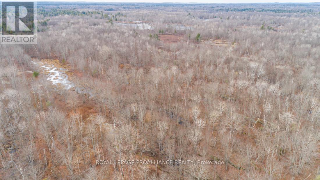 1446 Flinton Road, Tweed (Elzevir (Twp)), ON