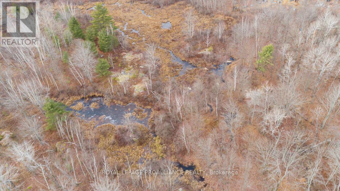 1446 Flinton Road, Tweed (Elzevir (Twp)), ON