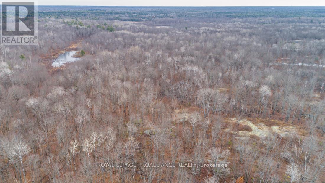 1446 Flinton Road, Tweed (Elzevir (Twp)), ON