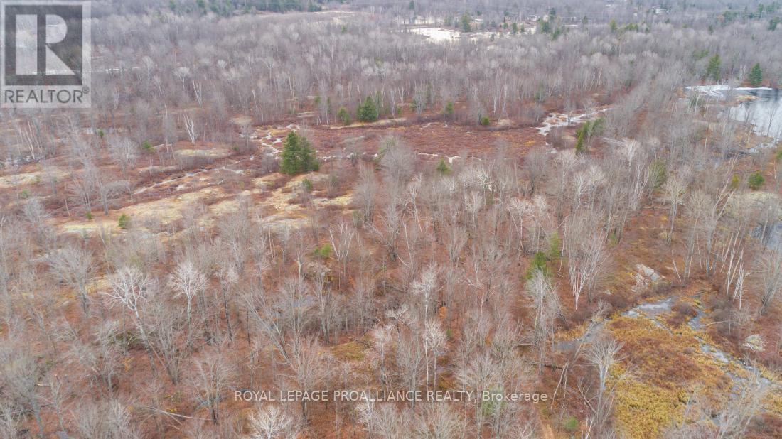 1446 Flinton Road, Tweed (Elzevir (Twp)), ON