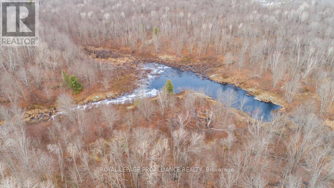 1446 Flinton Road, Tweed (Elzevir (Twp)), ON